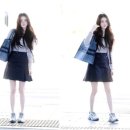 디 그레이 이미지