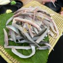 수선화참치앤생연어