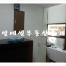 한국부동산중개 이미지