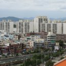 하남초(부산은행1) Daum카페