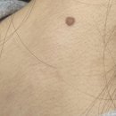 맑고고운라벨라의원 이미지