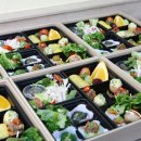 관-비-4-4호 | [부산영도구도시락] 단체도시락 추천 고품일단, 부산 수제 도시락 VIP4