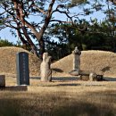 영신군 이이묘 이미지