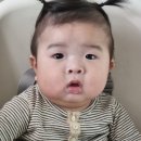 양장기능사 준비 과정기1(필기합격 후기)