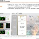 (주)아이오바이오 | 에이비엘바이오, 코스닥 1위 돌격, 1분기타임라인 등