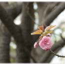 남동국민체육센터 이미지