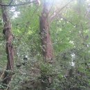 동로주유소 이미지