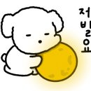 김사부도삭면