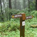 춘호농장 이미지