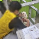 화성환경(주) | 반려마루 화성 강아지 입양센터)경기도 유기동물 보호소 반려마루 화성, 주말 유기견 봉사활동 후기