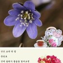 산은 보약 한 첩 이미지