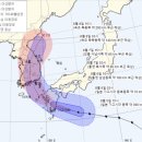 크로스핏 태풍 이미지