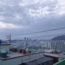 외나무 약국 이미지