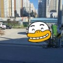 리오뷰티헤어 이미지