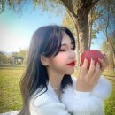 굿파더농원