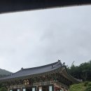 한국민화뮤지엄 | 강진 하루여행코스 완벽정리|무위사 백운동전시관 녹차밭 고려청자박물관 한국민화뮤지엄