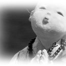 푼다리카 이미지