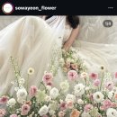 헤라헤어살롱 | 촬영 때 완전 대만족이었던 플라워 디렉팅 업체 비교 및 추천💐_로즈앤모어, 토풀리, 소와연, 헤라플레르