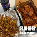 우리집양념통닭 | 동해 현지인 노포 맛집 추천 유미통닭 양념치킨 닭똥집 포장 후기