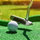 선인스크린 이미지