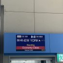 민앤팜 | 뉴욕-칸쿤 신혼여행 비행기 숙소 여행사 팜투어 선정 가성비 꿀팁