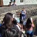 조천리금대 이미지