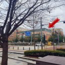 판교역로50번길 이미지