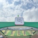 2025 올리브영 페스타 노들섬 다녀온 리얼후기★
