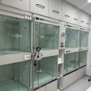 행운동물병원 | 대구 동물병원/급성 복통 반려견을 살려낸 수성구 동물병원 응급진료 후기