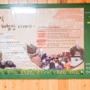 고수록펜션