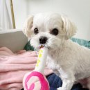 엄마손 한식뷔페 이미지