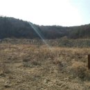 수원-0207 이미지