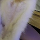 로하스일산병원 이미지