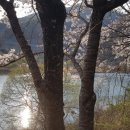 전곡-21 이미지