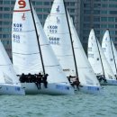 고성군 13 이미지