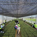 구룡농업 협동조합 이미지