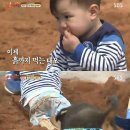 태오농장 이미지