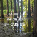 은파랑여행사