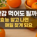 태주농장 | 단감 먹어도 될까? 효능 알고 나면 매일 찾게 돼요