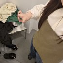 할매네대구막창 | 2026년 2월