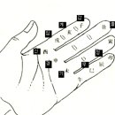 사주학 절기시각 중요성 나이나 띠로 4주 알기는 손가락으로도 쉽다 이미지