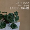 이플 | [광주 남구] 광주 꽃집 광주 꽃다발 이플플라워 후기