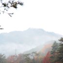 황토와 통나무 캠핑장 이미지