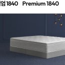알레르망스핑크스 - 8724 | 신혼 가구 침대 알레르망 스핑크스 프리미엄 1840 라지킹 매트리스 사용 후기
