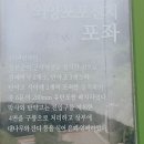 가덕 외양포 수국 이미지