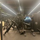 헬스 달리아 이미지