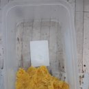 송산유원지 이미지