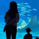 굿모닝카랜드 이미지