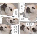 성북동이안