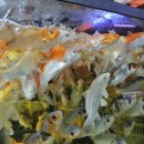 이준열대어 이미지